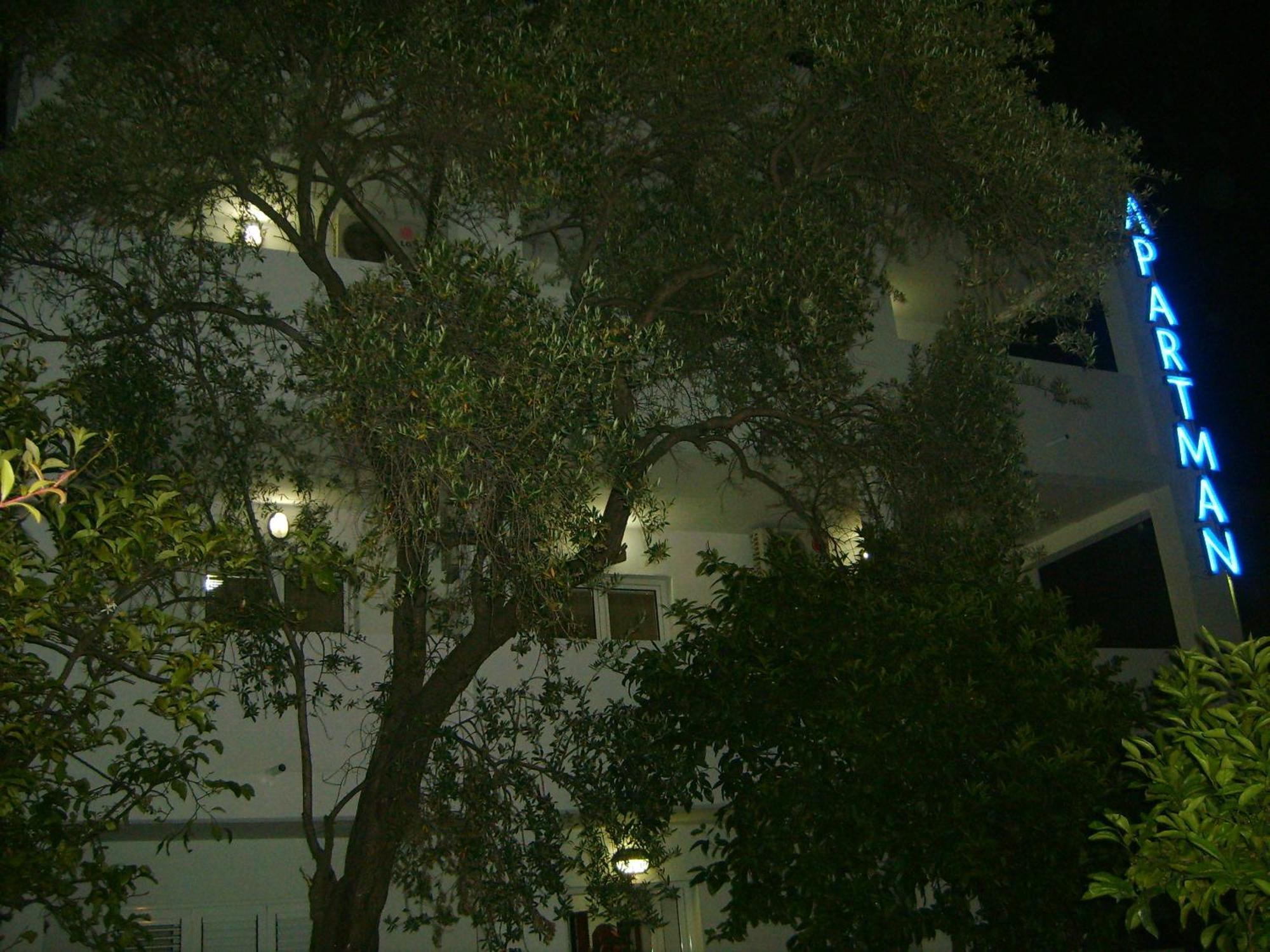 Lyon Apartments Μπούντβα Εξωτερικό φωτογραφία